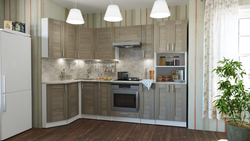 Shimo in the kitchen interior