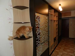 Шафы ў вузкі пярэдні пакой у калідор фота