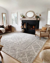 Carpets In The Living Room Modern Photos In The Interior On The Floor