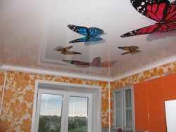 Drawings On Suspended Ceilings Photos For The Kitchen