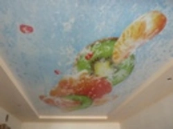 Drawings on suspended ceilings photos for the kitchen
