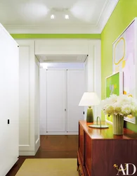 Hallway in green design photo