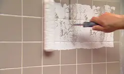Ванна Бөлмесінің Плиткаларының Фотосуретін Бояй Аласыз Ба