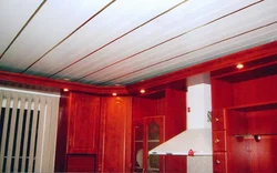 Plastic Ceiling In The Kitchen Photo
