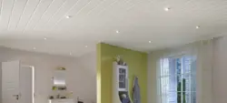 Plastic for kitchen ceiling photo