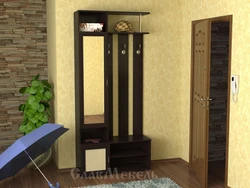 Design of a small hallway in a modern style house