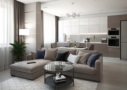 Interior of kitchen living room 30 sq.m.