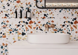 Terrazzo bath design