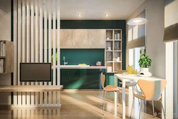 Partitions in the kitchen for zoning photos with your own