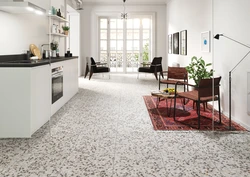 Kitchens with porcelain stoneware floors photo