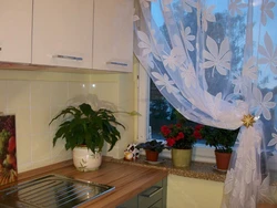 One Curtain In The Kitchen Photo