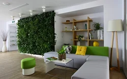 Photo living room in eco-style