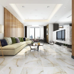 Floor Tiles For Living Room Photo Design Photo