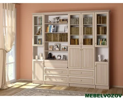 Bookcase in the living room interior photo in a city apartment