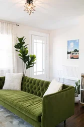 Gray green sofa in the living room interior