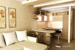 Design of a small kitchen with a living room