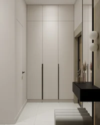Wardrobe in the hallway with hinged doors in a modern style photo