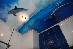 Photo of suspended ceilings in the bathroom design