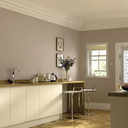 How To Paint A Kitchen In A House Photo