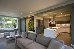 Design living room kitchen in the house