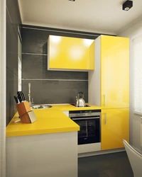 Built-In Kitchen Design For A Small Kitchen