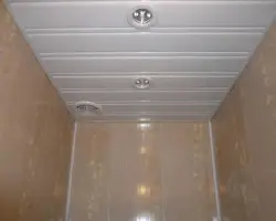 Фото ванна бөлмесінің дизайны пластикалық төбе