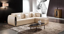 Beautiful sofas for the living room photo in the interior