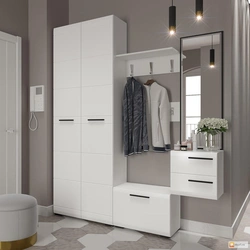 Hallway design with wardrobe in apartment photo