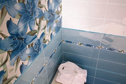 All photos about tiles in the bathroom