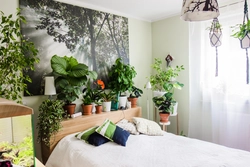 Indoor flowers photo for bedroom photo