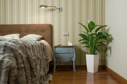Indoor flowers photo for bedroom photo