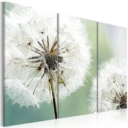 Dandelions Ilə Vanna Otağı Foto