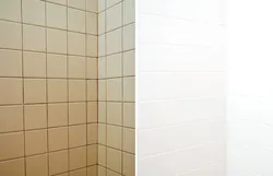 Ваннаға арналған плиткаларды фотосуреттерге дейін және кейін өз қолыңызбен бояу