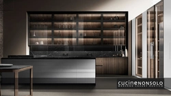 Showcase in the kitchen interior