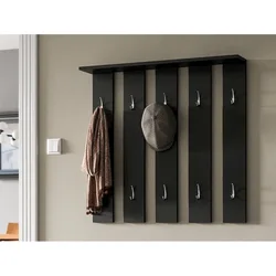 Hallway with wall hanger interior