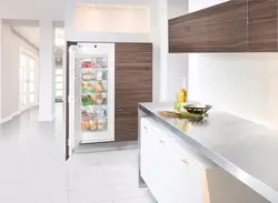 Freezer And Refrigerator In The Kitchen Photo