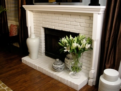 Decorative fireplaces in the living room interior photos with your own
