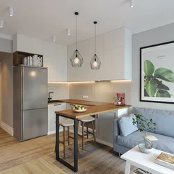 Kitchen with a bar counter in a studio 25 sq m photo