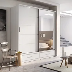 Samples of wardrobes photos for the bedroom with a mirror