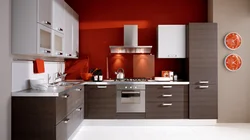 Examples of kitchens with built-in appliances photo design