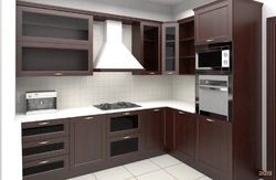 Examples of kitchens with built-in appliances photo design