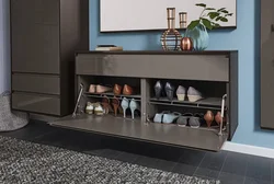 Hallway design shoe cabinet