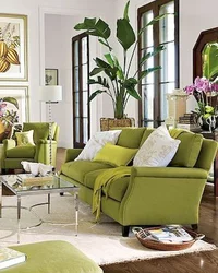 Beige Olive Living Room Interior
