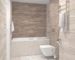 Laparet Tiles Photo Baths