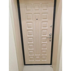 Entrance doors from the apartment side photo