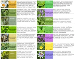 Photos and names of bath colors