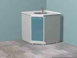 Corner Kitchen Sink With Cabinet Photo Small