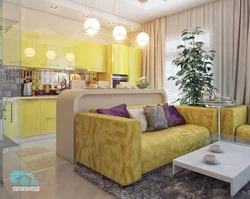 Upholstered furniture in the interior of the kitchen and living room