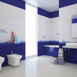 Blue and white tiles in the bathroom photo