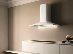 Types of kitchen hoods photo